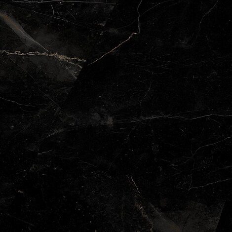 Falquon Marmorata Nera - Quadro Q1006 2