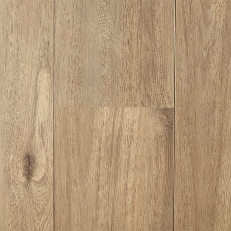 Hoomline - Alpe d'Huez - Royal XL 969