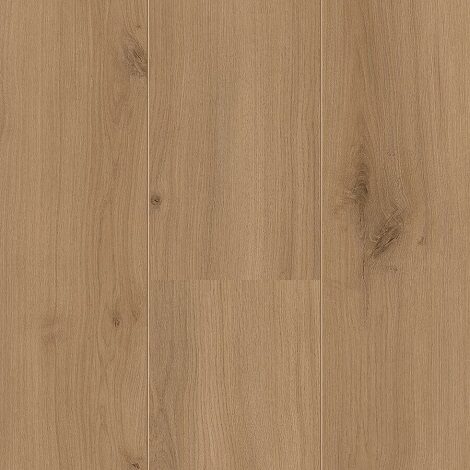 Hoomline - Atlas - Royal XL 4937