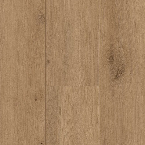 Hoomline - Atlas - Royal XL 4937