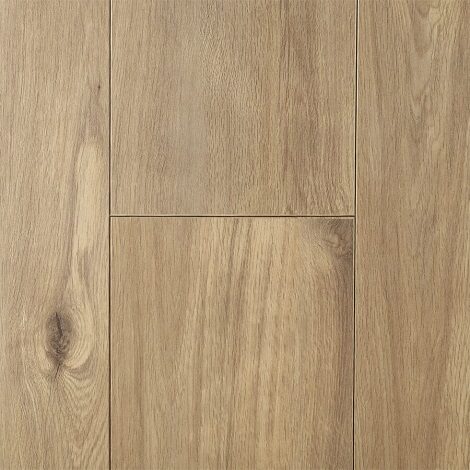 Hoomline - Auckland - Optima 969