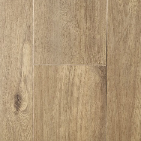 Hoomline - Auckland - Optima 969