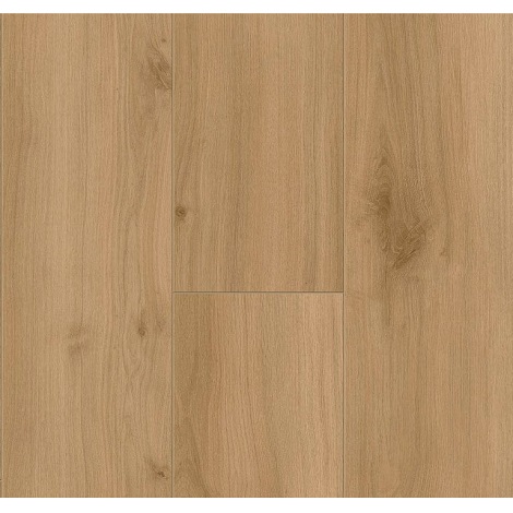 Hoomline - Freemantle - Optima 4936