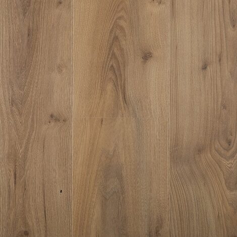 Hoomline - Lazio - Royal 755