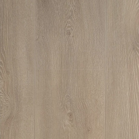 Hoomline - Mount Everest - Royal XL 106