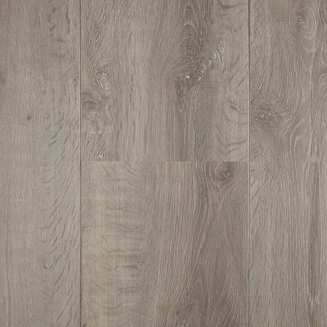 Hoomline - Olympus - Royal XL 957