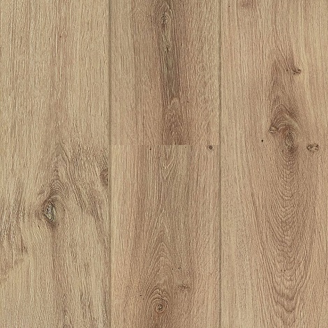 Hoomline - Wallis - Royal XL 491