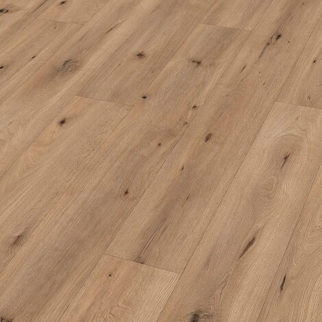 Meister - Veldeik Licht 6843 - LL 150