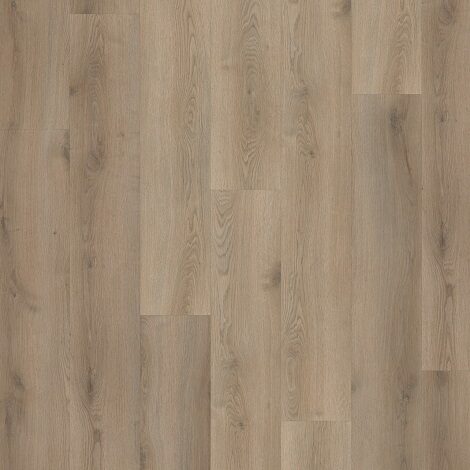 Hoomline - Van Gogh - Stilleven 230 PVC Click 1